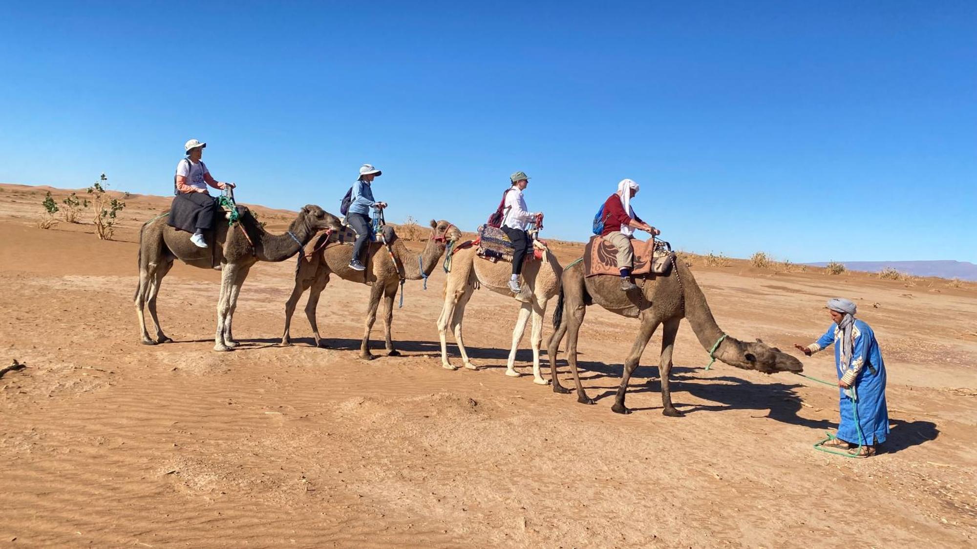 Atta Desert Camp El Gouera 외부 사진