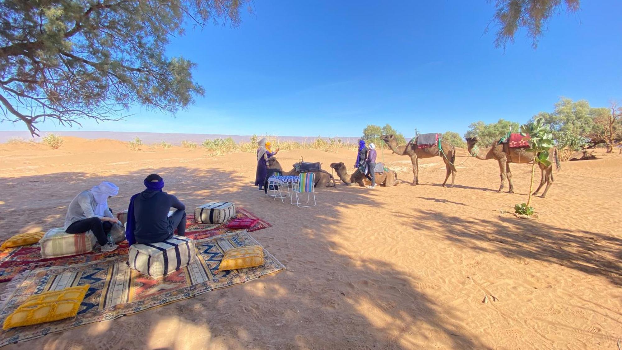 Atta Desert Camp El Gouera 외부 사진