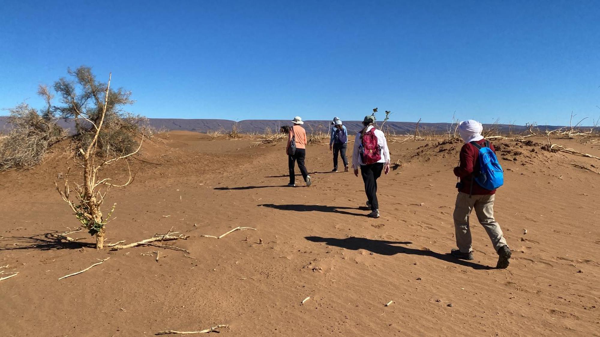 Atta Desert Camp El Gouera 외부 사진