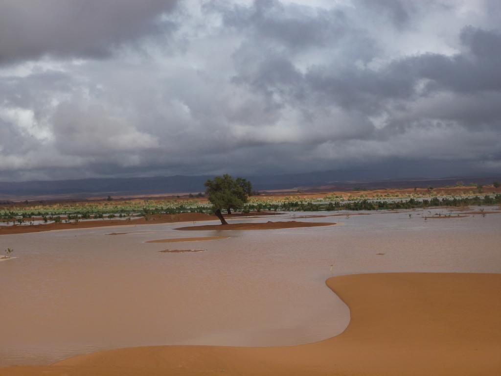Atta Desert Camp El Gouera 외부 사진