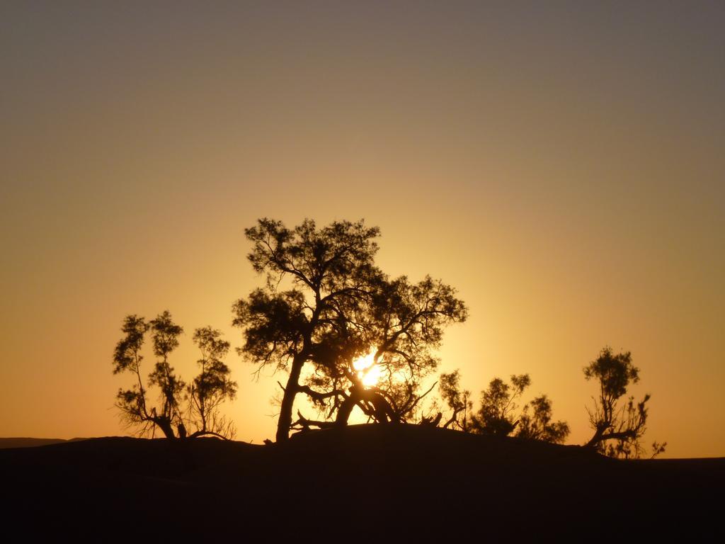 Atta Desert Camp El Gouera 외부 사진