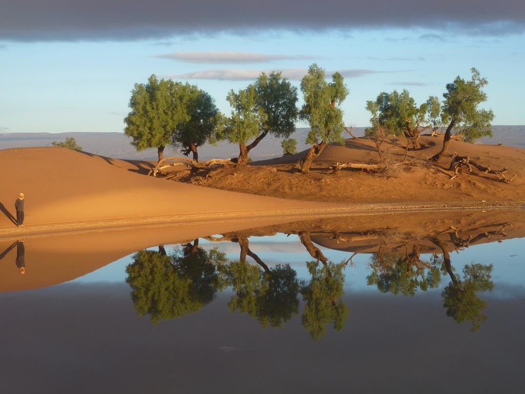 Atta Desert Camp El Gouera 외부 사진