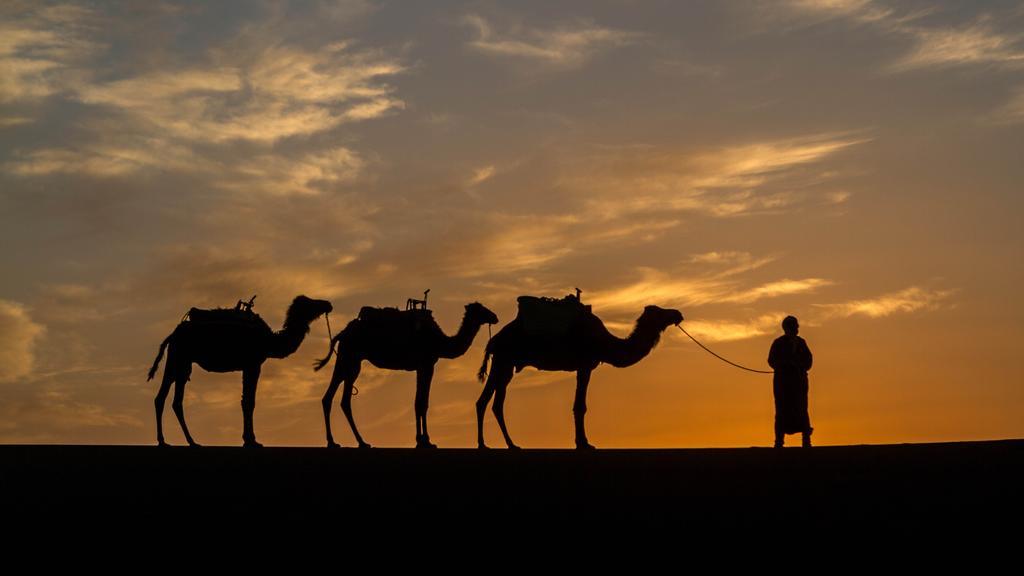 Atta Desert Camp El Gouera 외부 사진